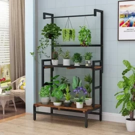 ke de do gia re e1622445518863