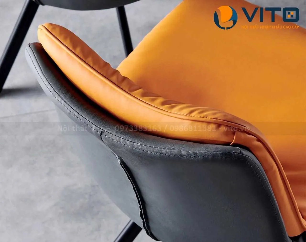 GHẾ ĂN NHẬP KHẨU VITO GAV-Z3 5 Ghế Ăn Nhập Khẩu Vito GAV-Z3 - Ảnh 5