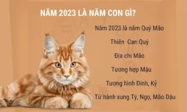 nam 2023 nam gi 1 1