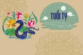 ghe van phong cho nguoi tuoi Ty 4