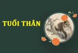 ghe van phong cho nguoi tuoi than 1