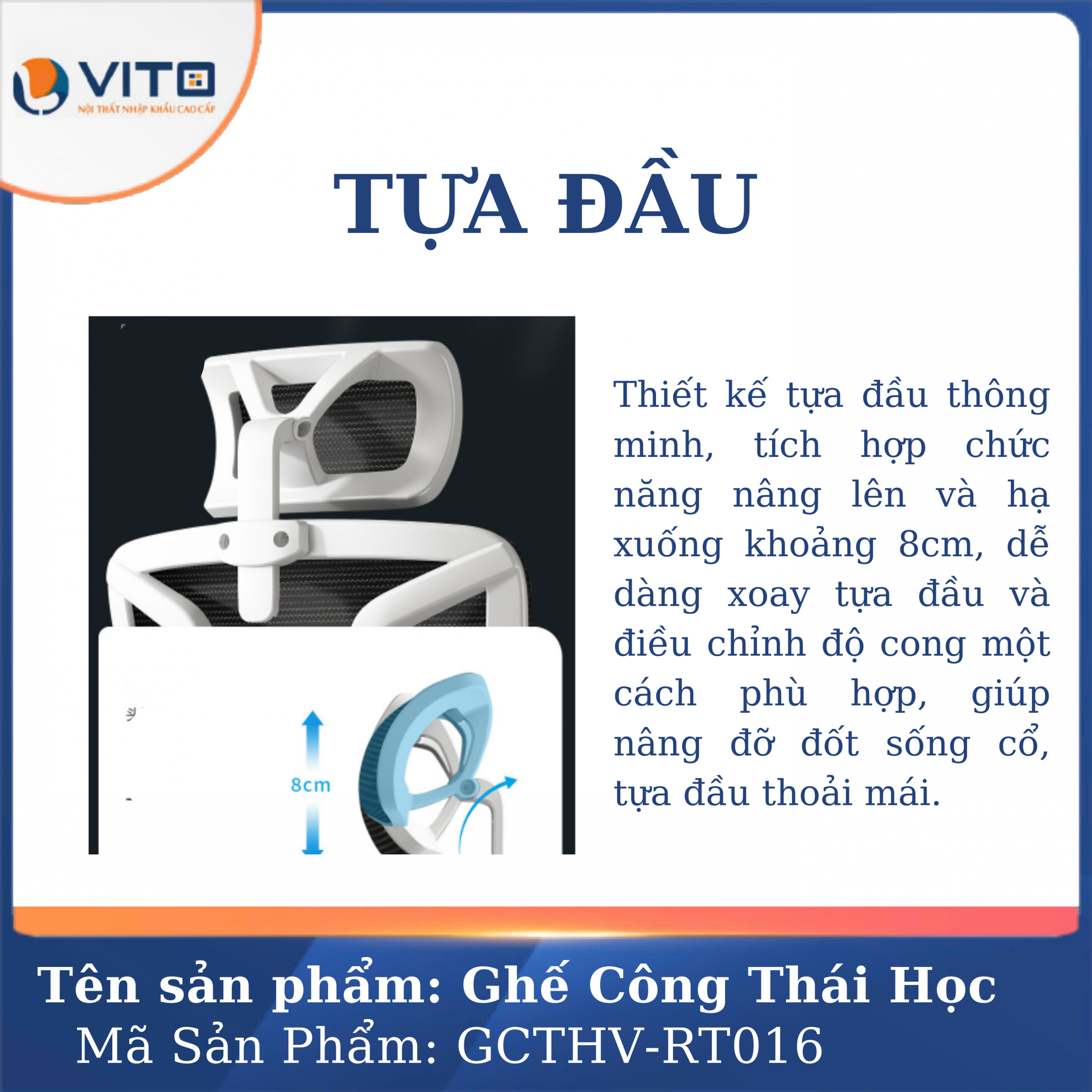 GHẾ CÔNG THÁI HỌC GCTHV-RT006T 12 Ghế công thái học GCTHV-RT006T - Ảnh 12