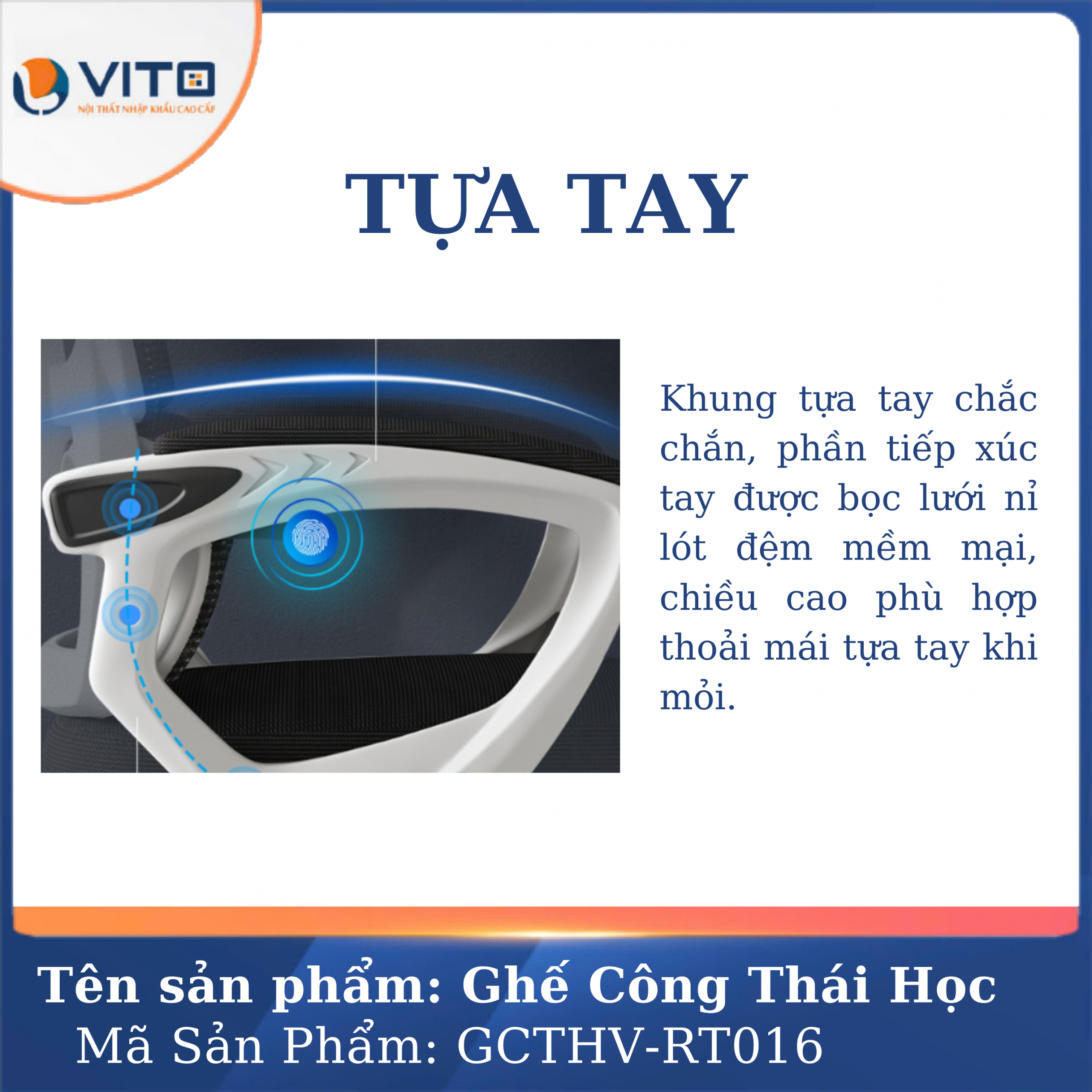 GHẾ CÔNG THÁI HỌC GCTHV-RT006T 11 Ghế công thái học GCTHV-RT006T - Ảnh 11