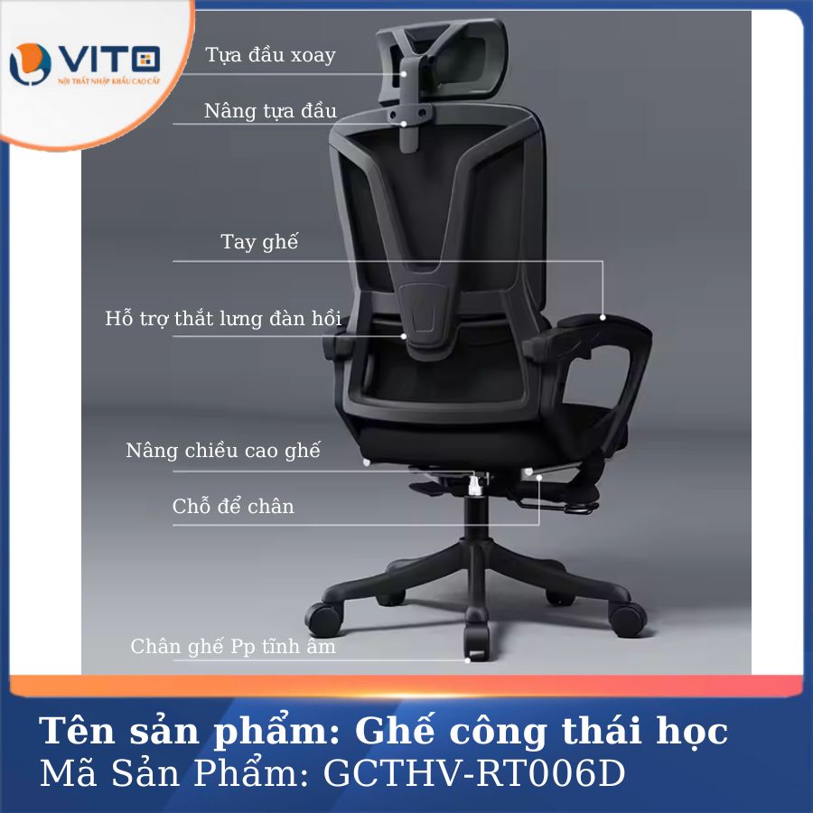 GHẾ CÔNG THÁI HỌC GCTHV-RT006D 4 Ghế công thái học GCTHV-RT006D - Ảnh 4