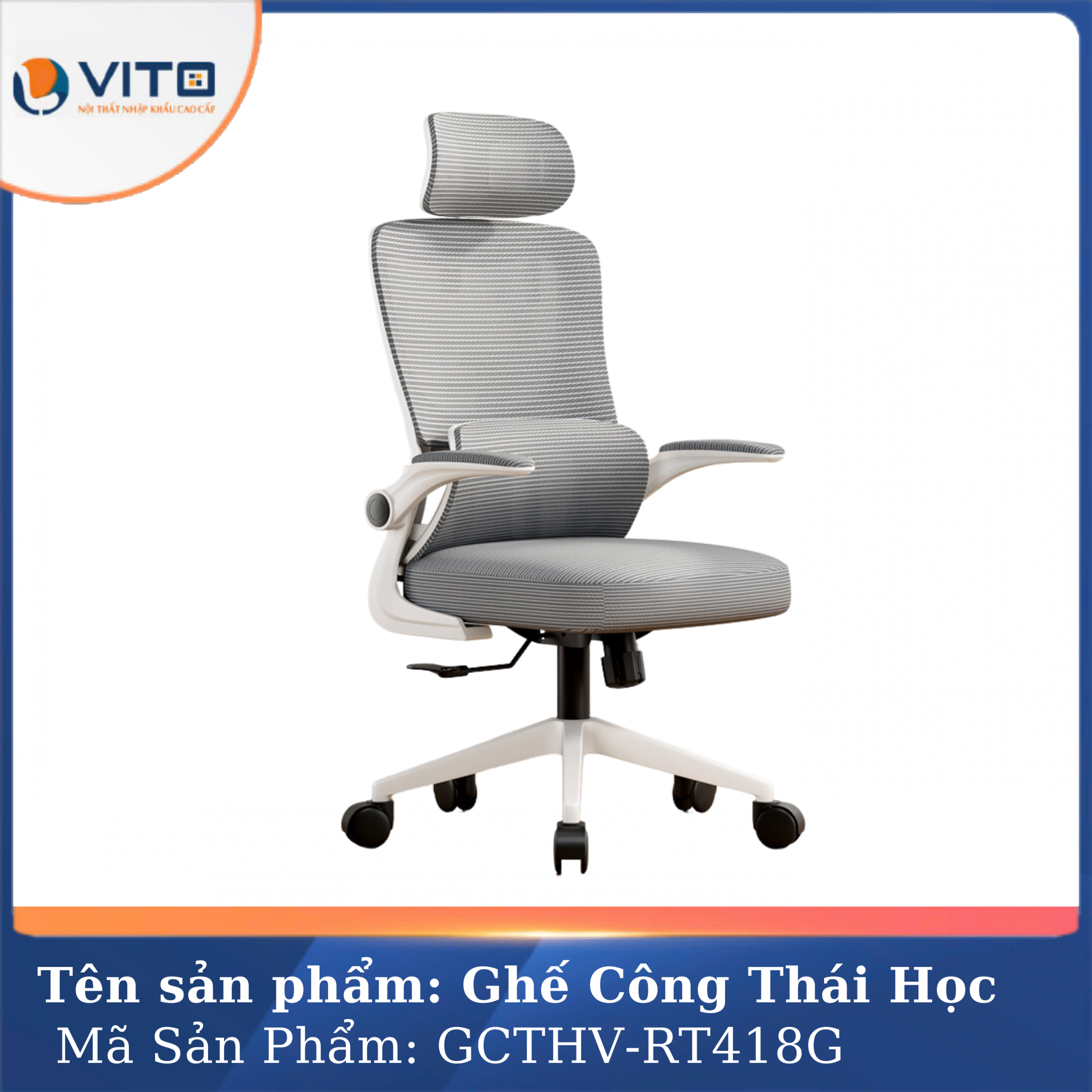 GHẾ CÔNG THÁI HỌC VITO GCTHV-RT418G 2 Ghế công thái học Vito GCTHV-RT418G - Ảnh 2