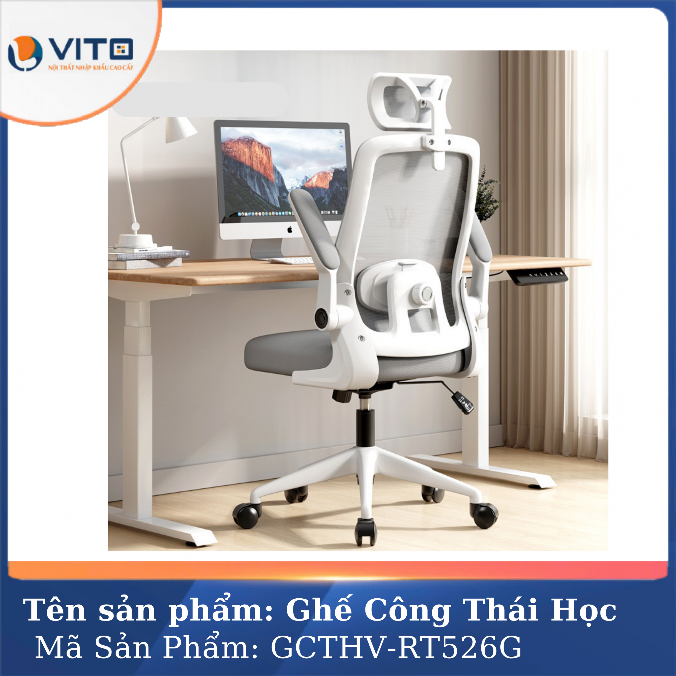 GHẾ CÔNG THÁI HỌC VITO GCTHV-RT526G 2 Ghế công thái học Vito GCTHV-RT526G - Ảnh 2