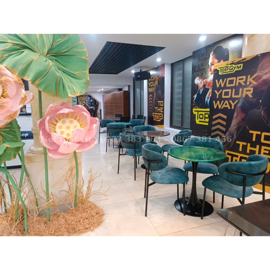 GHẾ ĂN NHẬP KHẨU MINOTTI GAV-NK2401 4 Ghế Ăn Nhập Khẩu Minotti GAV-NK2401 - Ảnh 4