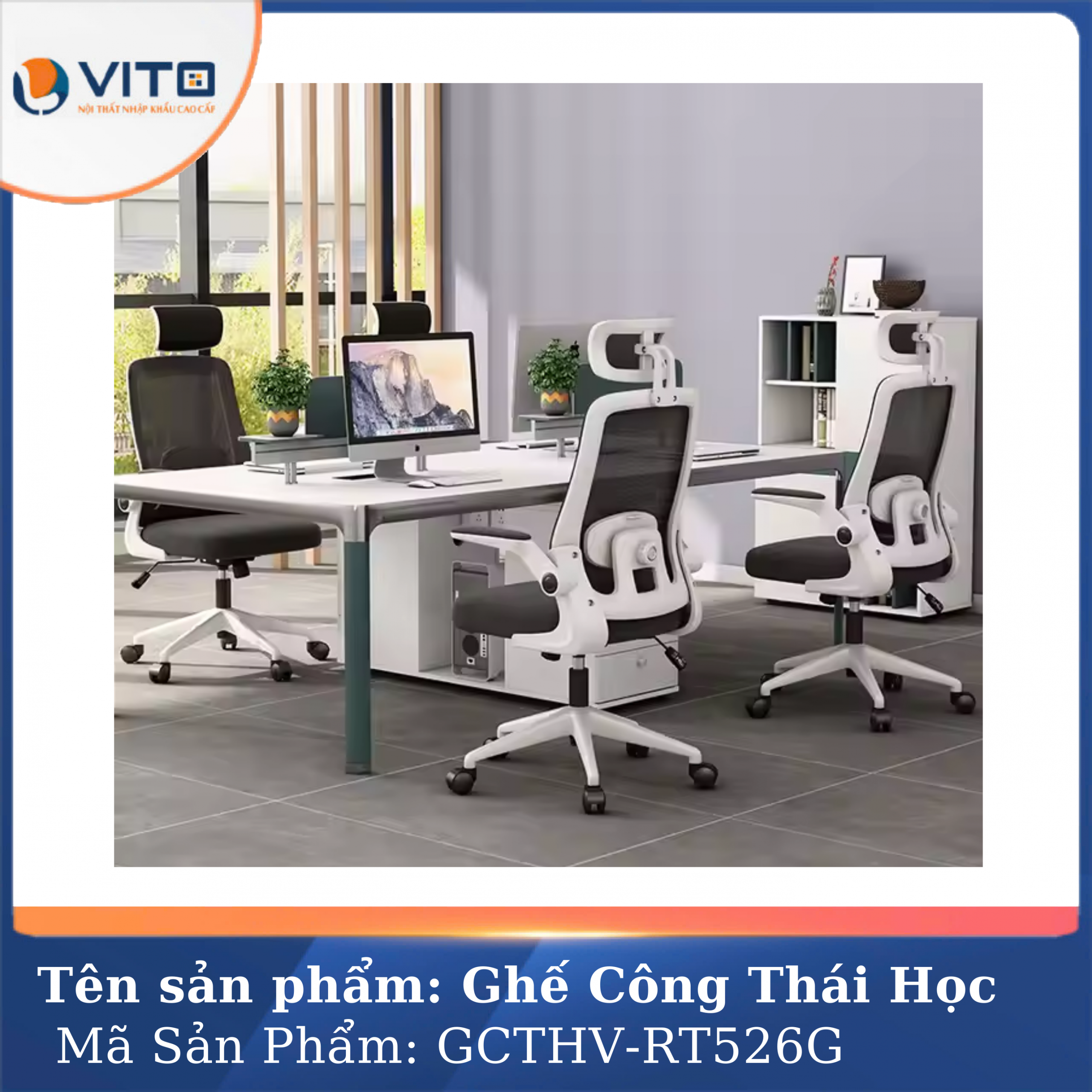 GHẾ CÔNG THÁI HỌC VITO GCTHV-RT526G 3 Ghế công thái học Vito GCTHV-RT526G - Ảnh 3
