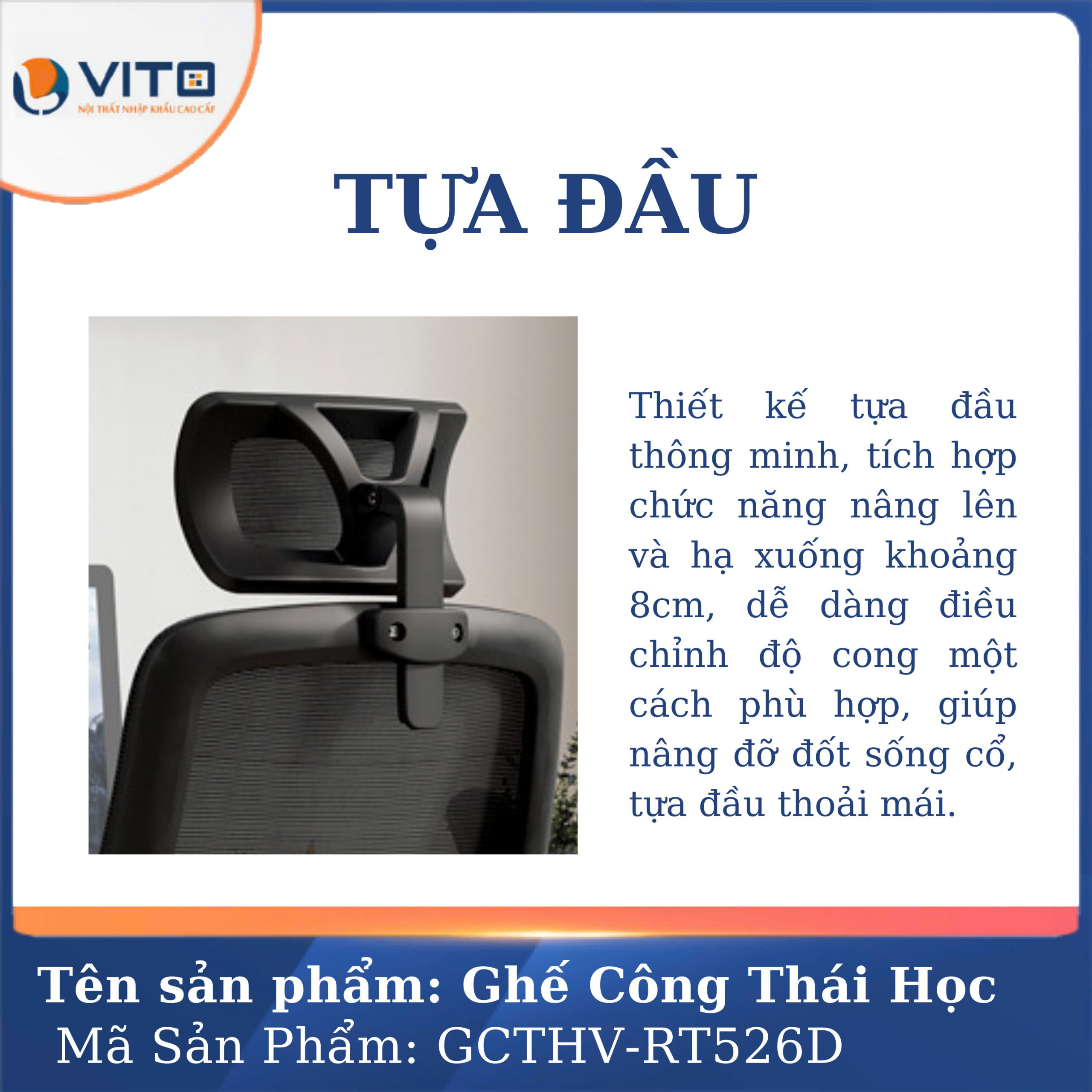 GHẾ CÔNG THÁI HỌC VITO GCTHV-RT526D 5 Ghế công thái học Vito GCTHV-RT526D - Ảnh 5