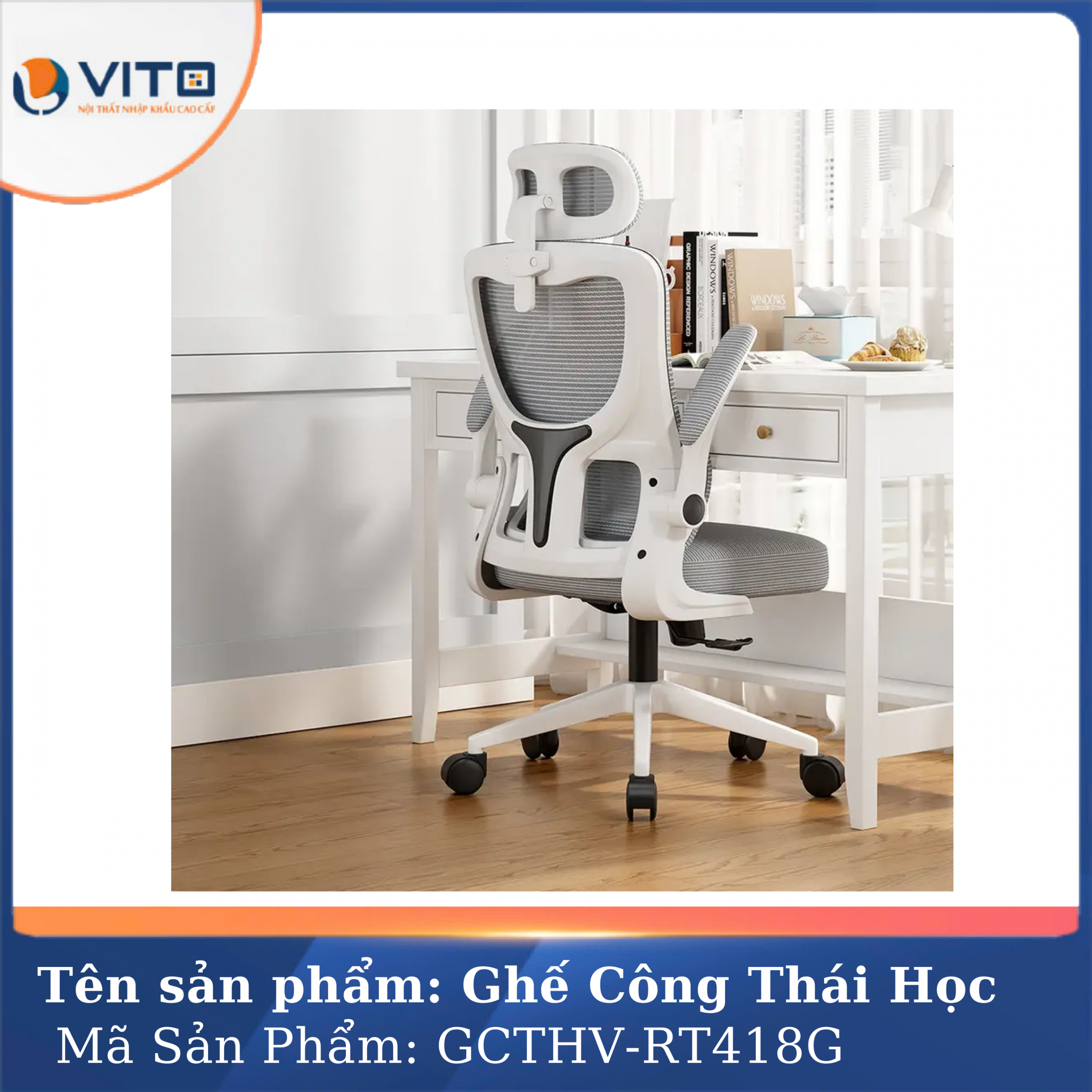 GHẾ CÔNG THÁI HỌC VITO GCTHV-RT418G 5 Ghế công thái học Vito GCTHV-RT418G - Ảnh 5