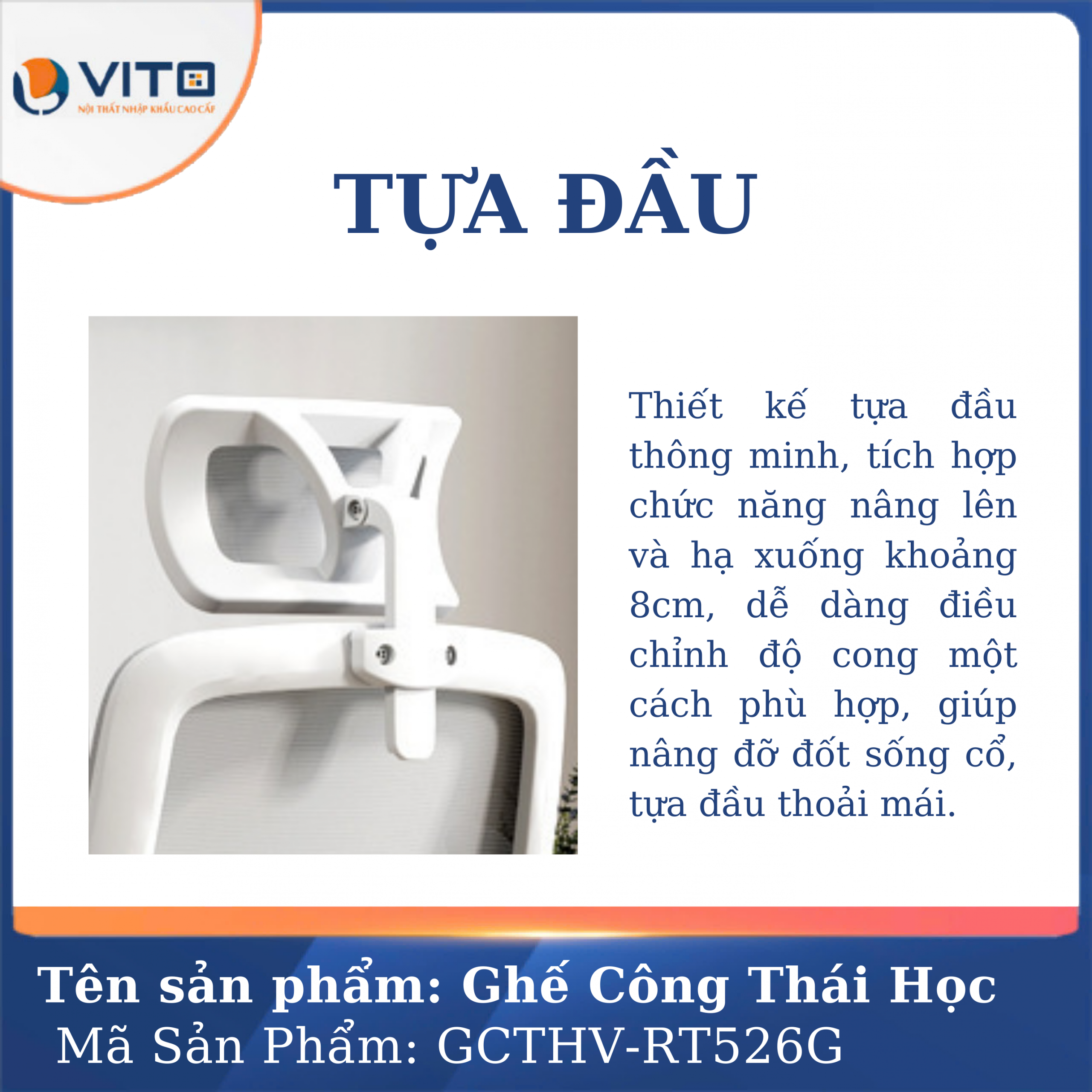 GHẾ CÔNG THÁI HỌC VITO GCTHV-RT526G 5 Ghế công thái học Vito GCTHV-RT526G - Ảnh 5