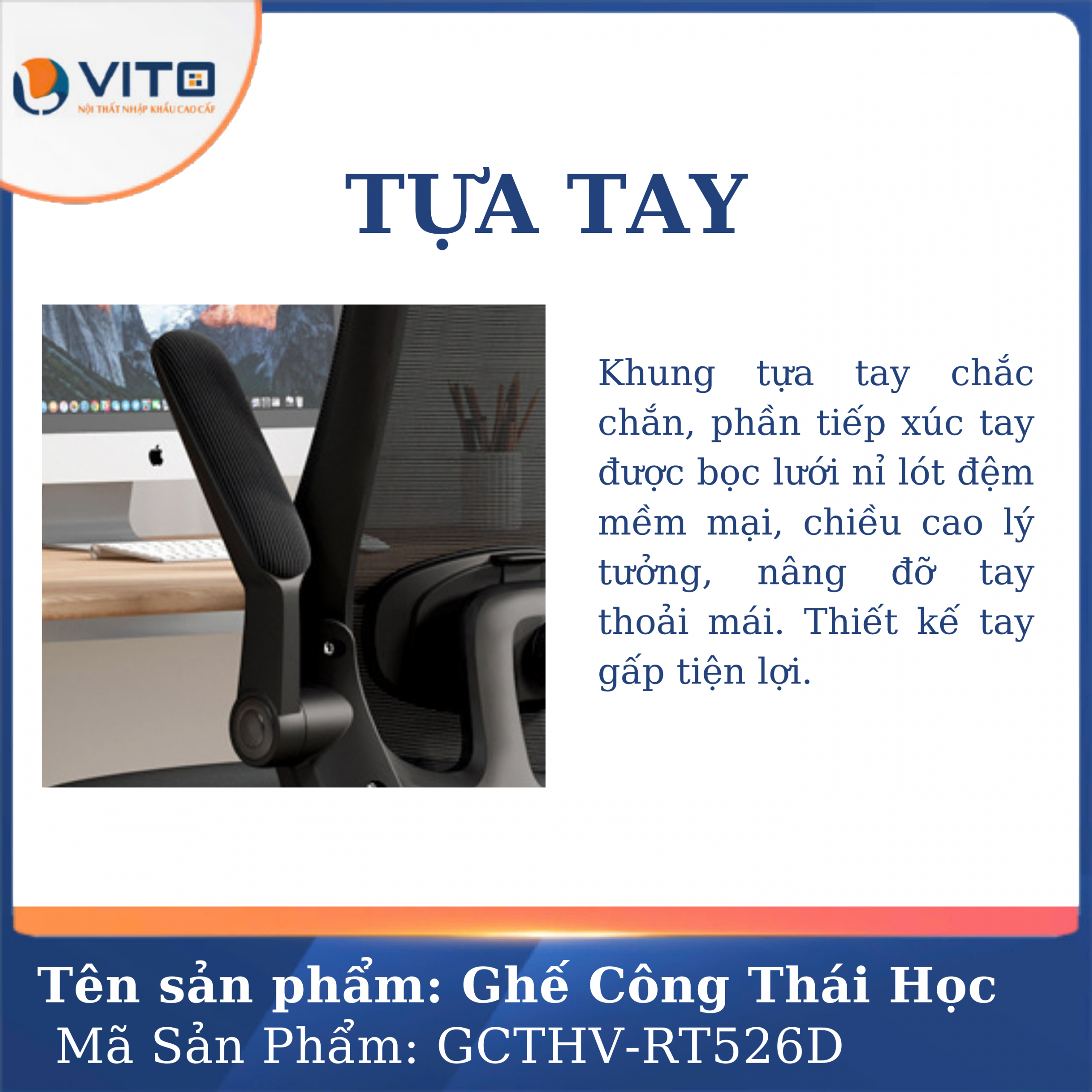 GHẾ CÔNG THÁI HỌC VITO GCTHV-RT526D 6 Ghế công thái học Vito GCTHV-RT526D - Ảnh 6
