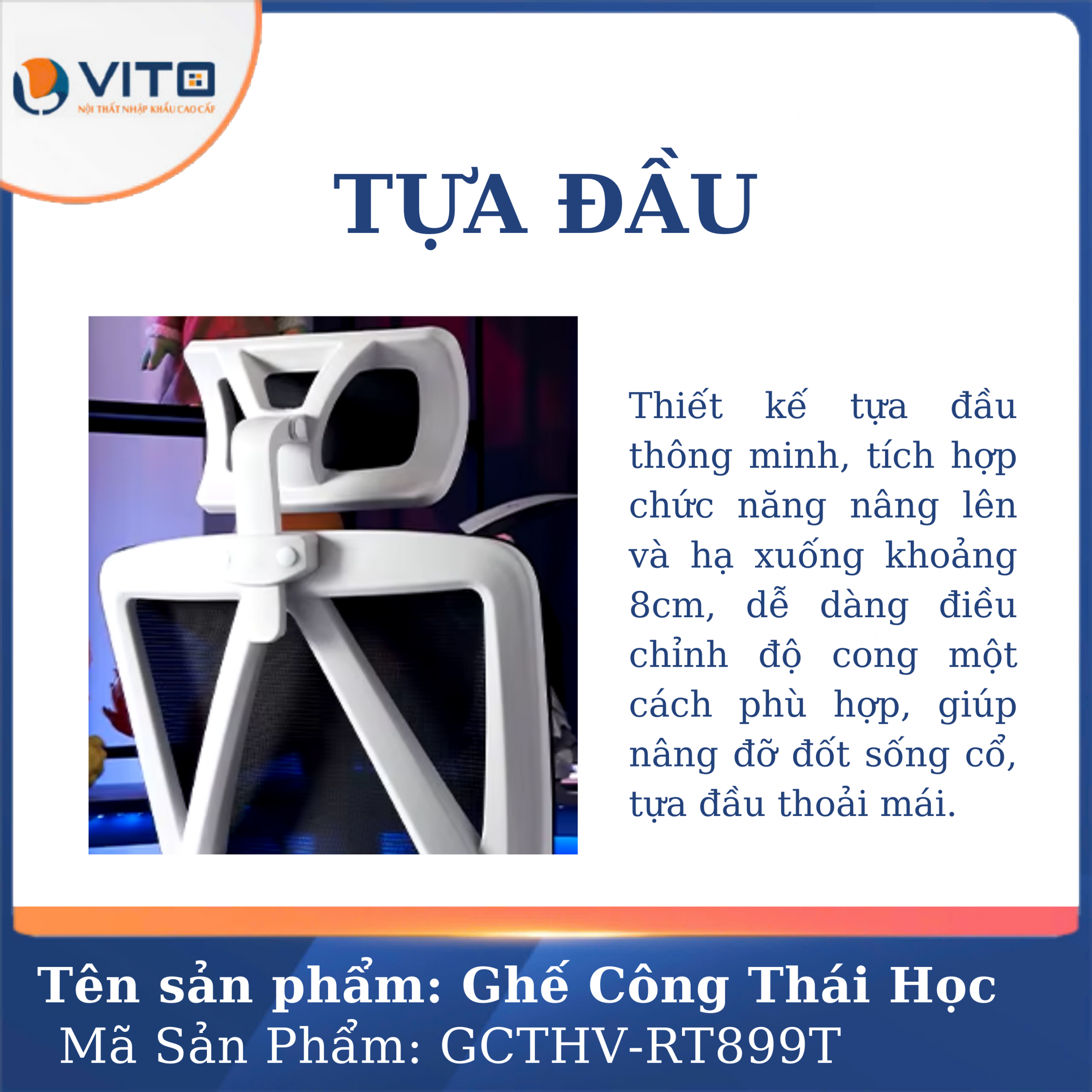 GHẾ CÔNG THÁI HỌC VITO GCTHV-RT899T 4 Ghế công thái học Vito GCTHV-RT899T - Ảnh 4