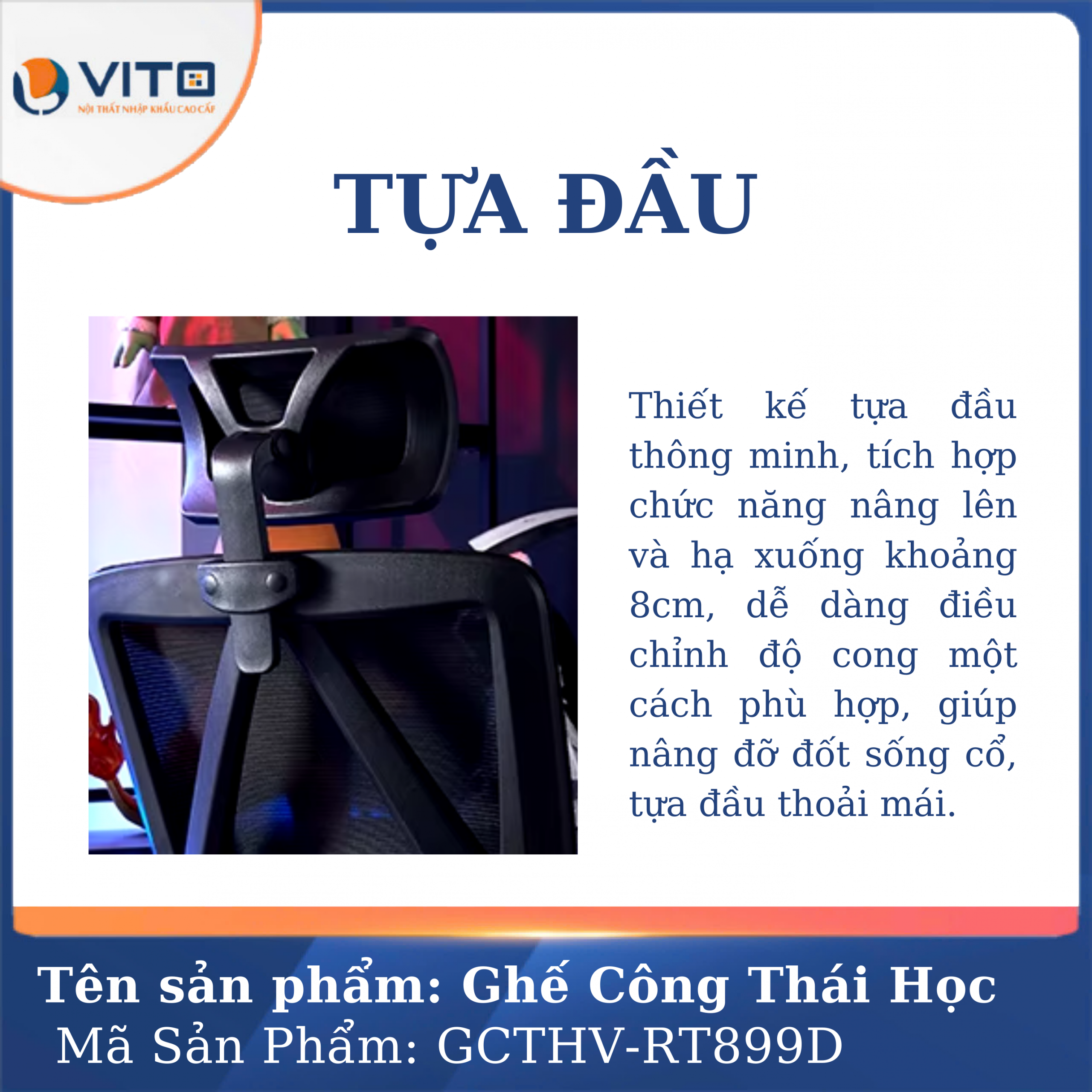 GHẾ CÔNG THÁI HỌC VITO GCTHV-RT899D 4 Ghế công thái học Vito GCTHV-RT899D - Ảnh 4