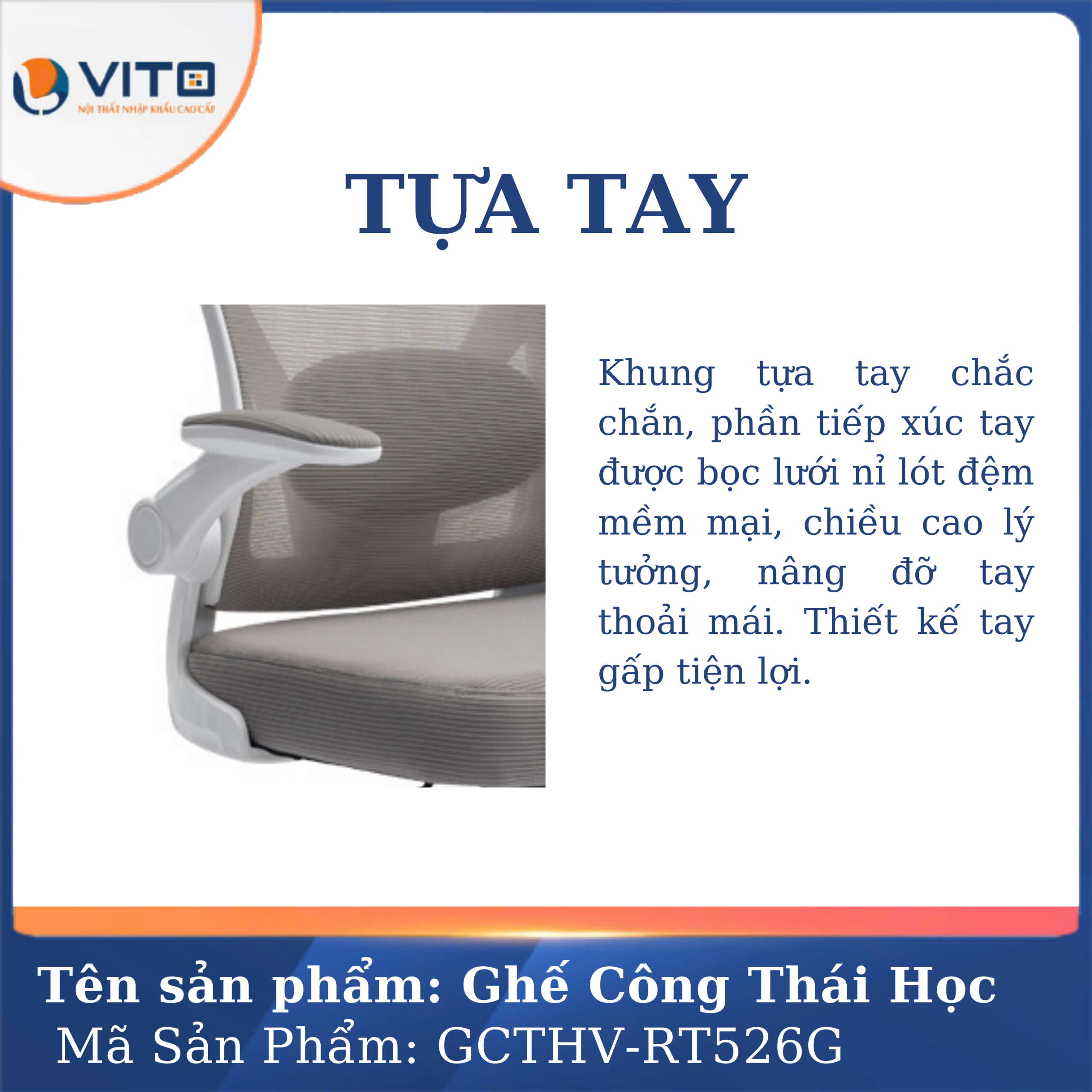GHẾ CÔNG THÁI HỌC VITO GCTHV-RT526G 6 Ghế công thái học Vito GCTHV-RT526G - Ảnh 6
