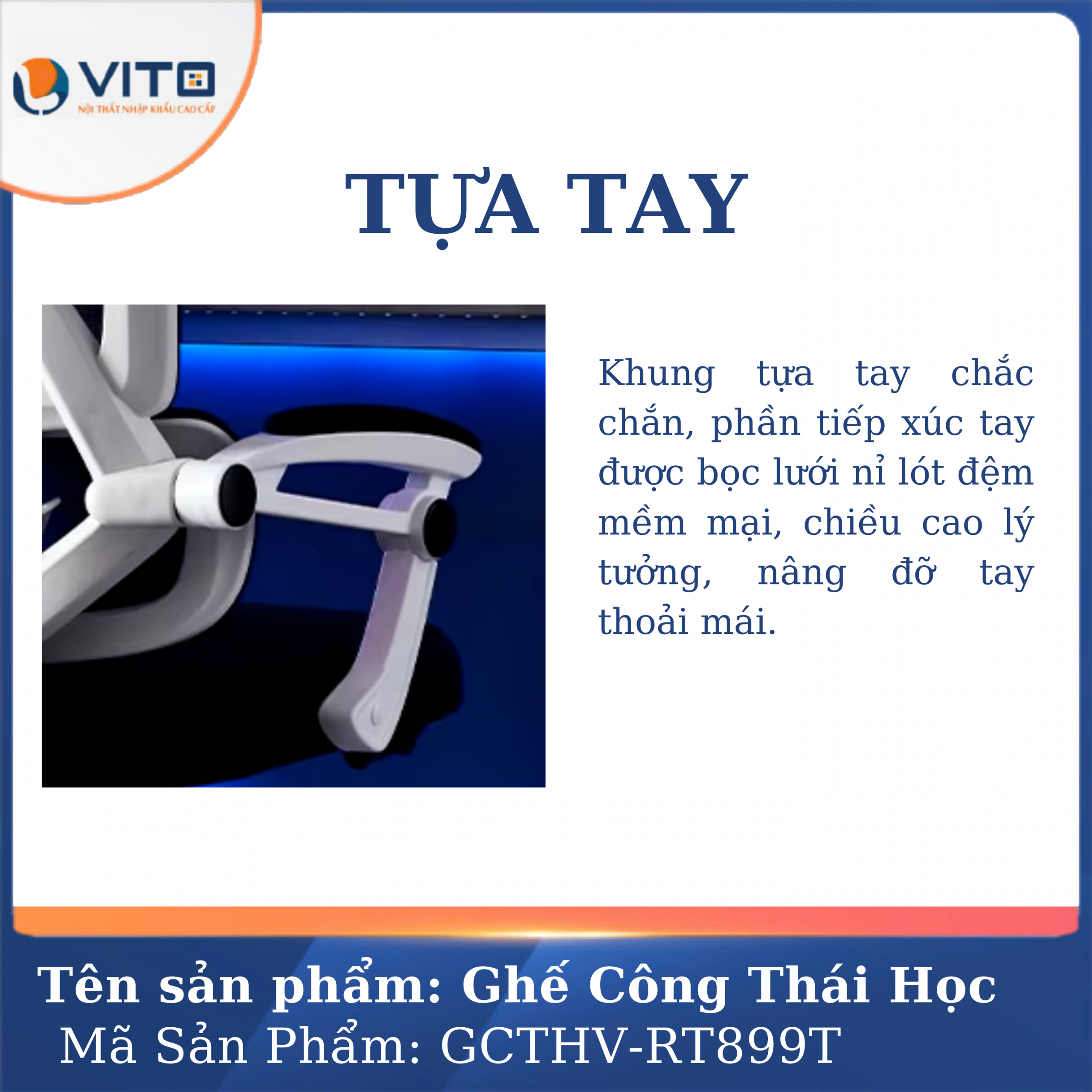 GHẾ CÔNG THÁI HỌC VITO GCTHV-RT899T 5 Ghế công thái học Vito GCTHV-RT899T - Ảnh 5