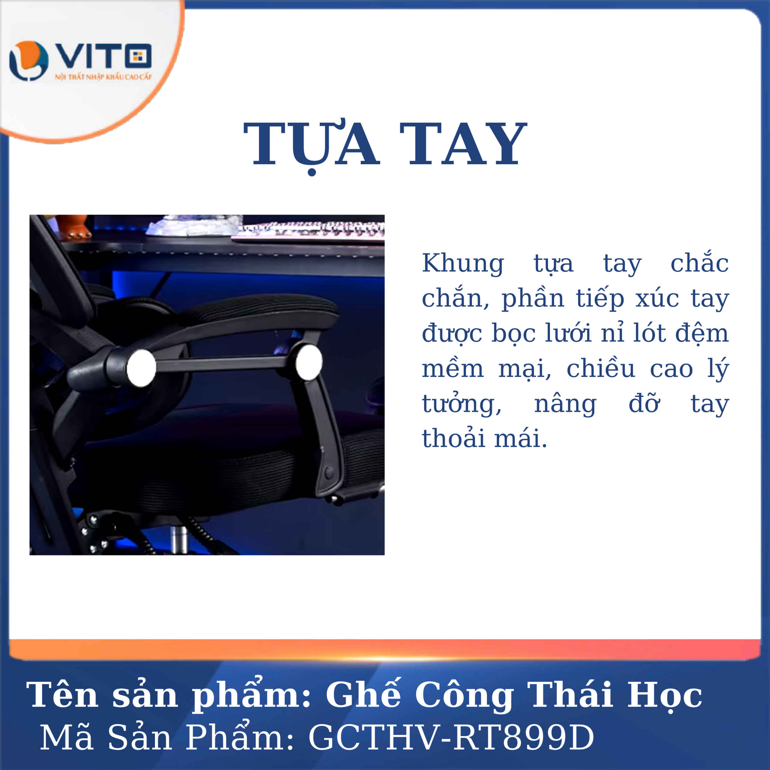 GHẾ CÔNG THÁI HỌC VITO GCTHV-RT899D 5 Ghế công thái học Vito GCTHV-RT899D - Ảnh 5
