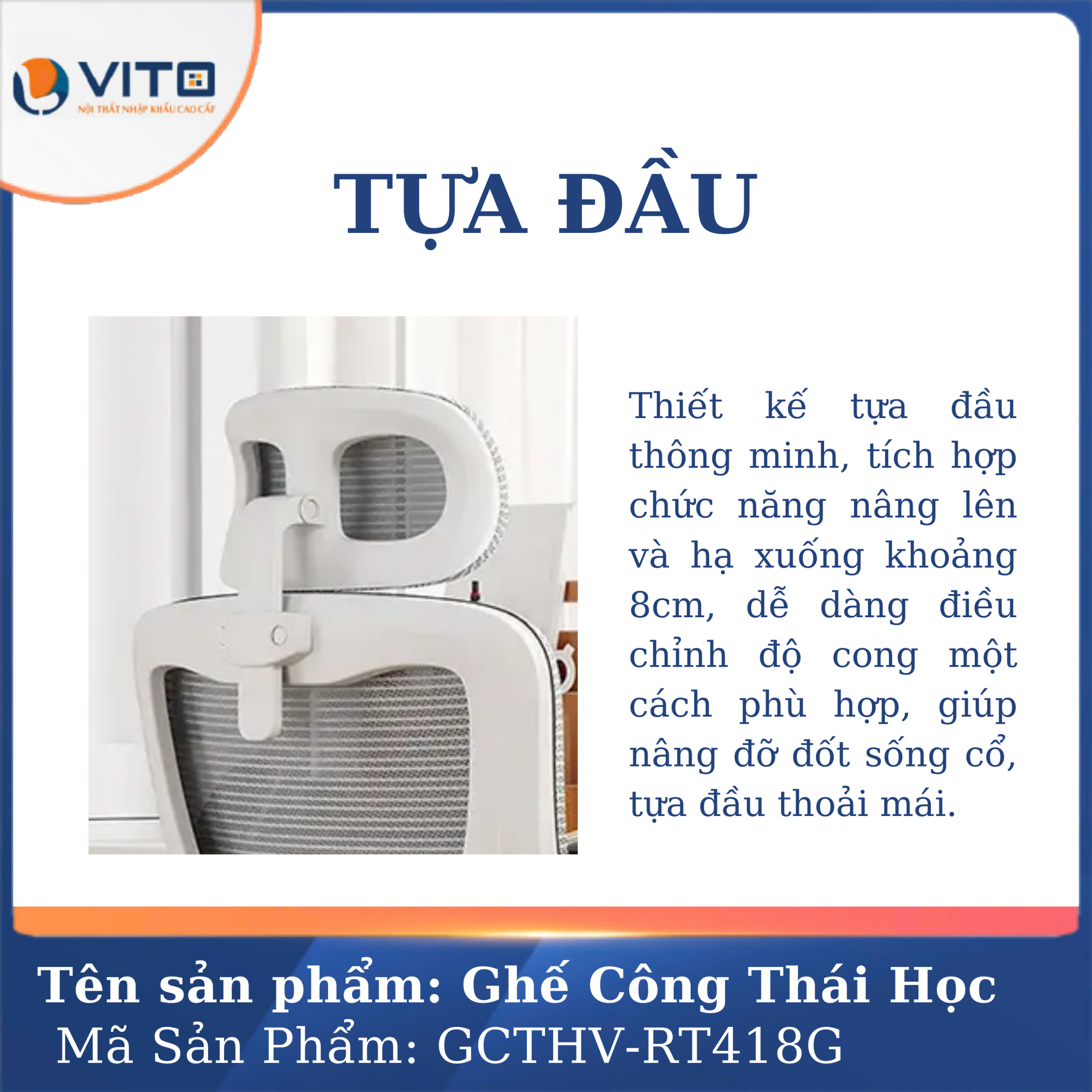 GHẾ CÔNG THÁI HỌC VITO GCTHV-RT418G 8 Ghế công thái học Vito GCTHV-RT418G - Ảnh 8