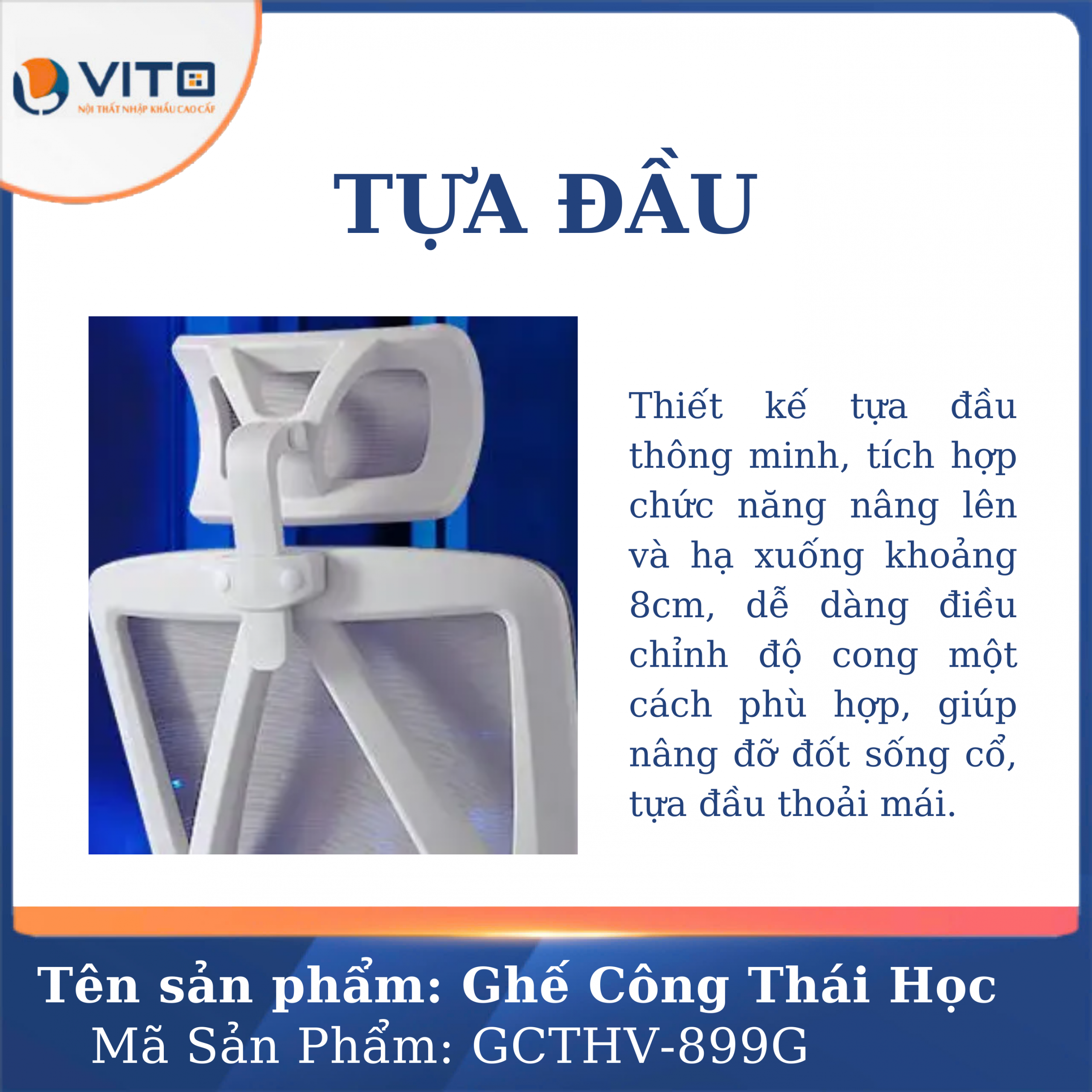 GHẾ CÔNG THÁI HỌC VITO GCTHV-RT899G 6 Ghế công thái học Vito GCTHV-RT899G - Ảnh 6