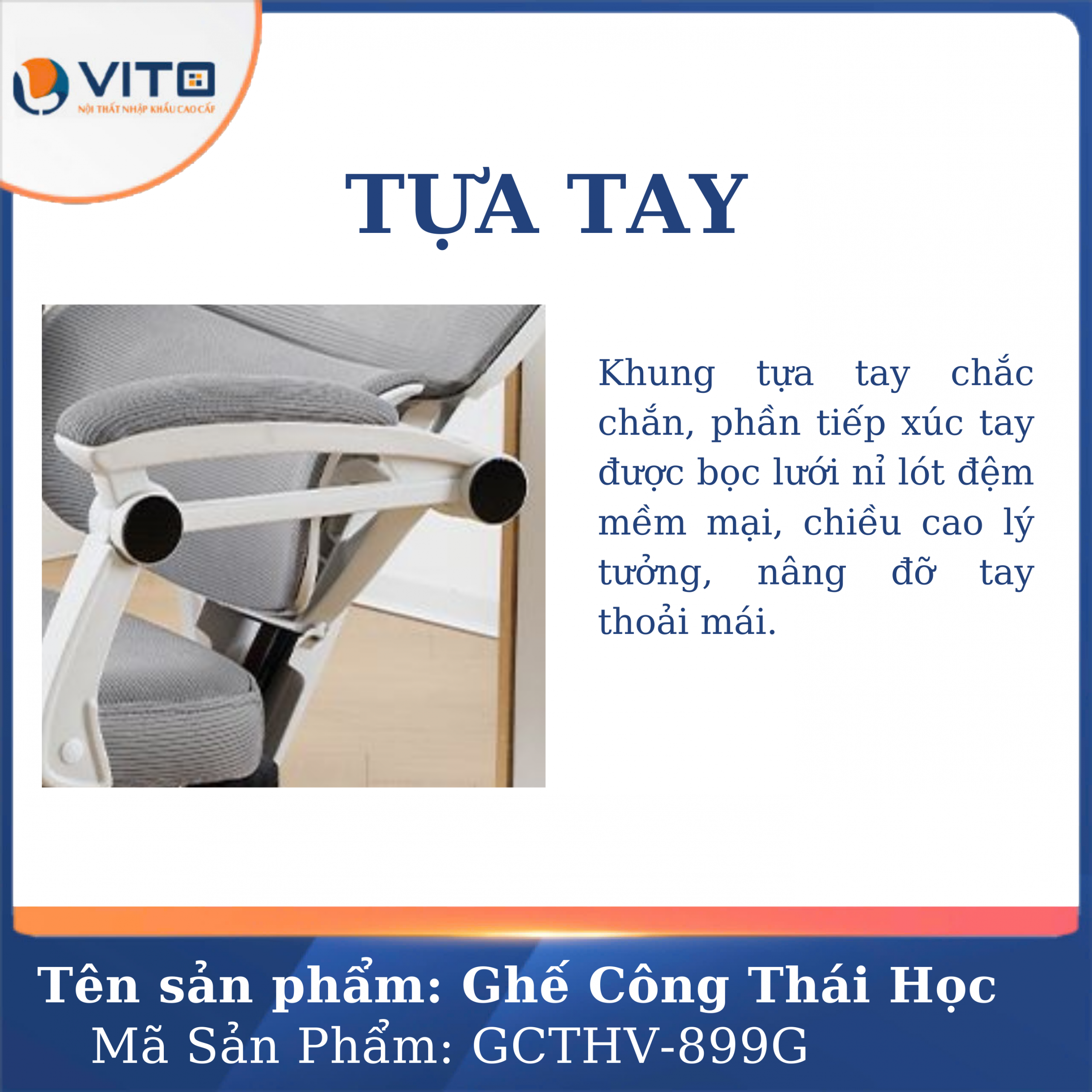 GHẾ CÔNG THÁI HỌC VITO GCTHV-RT899G 7 Ghế công thái học Vito GCTHV-RT899G - Ảnh 7