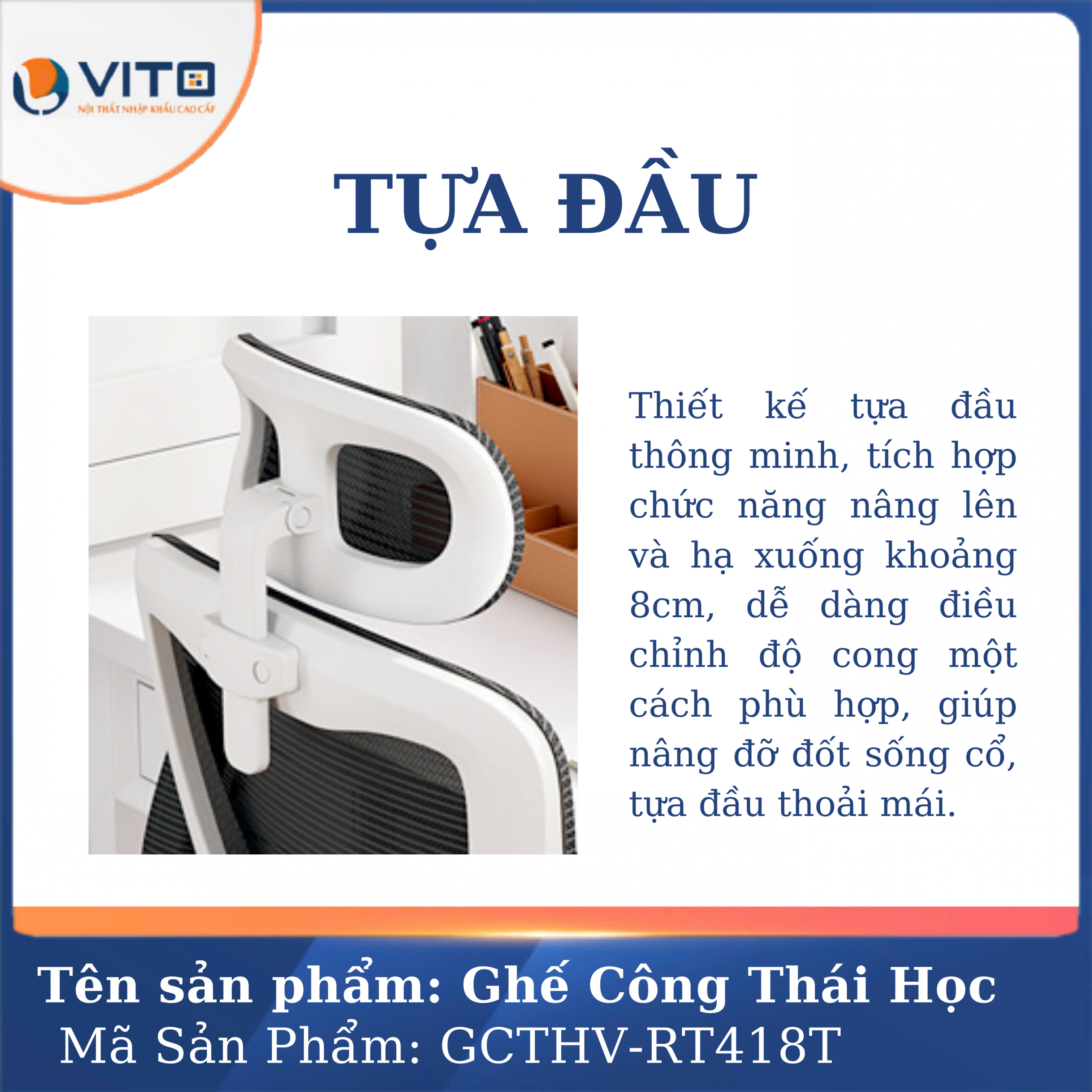 GHẾ CÔNG THÁI HỌC VITO GCTHV-RT418T 8 Ghế công thái học Vito GCTHV-RT418T - Ảnh 8