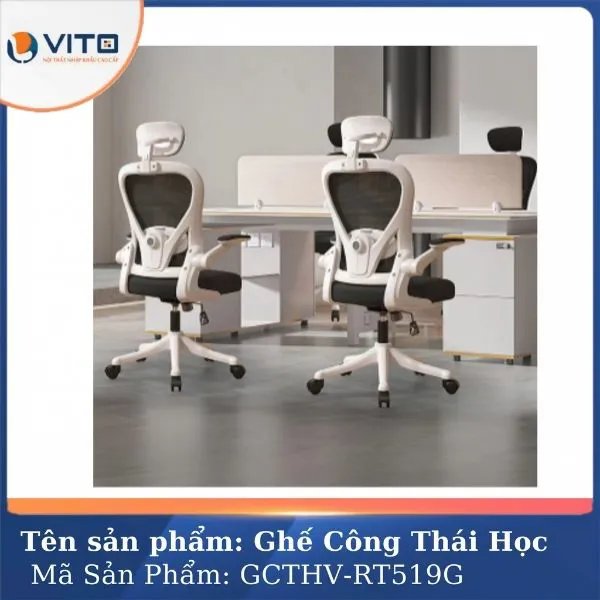 GHẾ CÔNG THÁI HỌC VITO GCTHV-RT519G 4 Ghế công thái học Vito GCTHV-RT519G - Ảnh 4