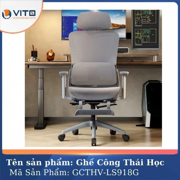 GHẾ CÔNG THÁI HỌC VITO GCTHV-LS918G 3 Ghế công thái học Vito GCTHV-LS918G - Ảnh 3