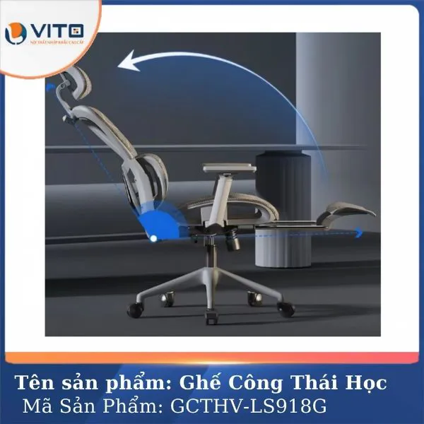 GHẾ CÔNG THÁI HỌC VITO GCTHV-LS918G 5 Ghế công thái học Vito GCTHV-LS918G - Ảnh 5
