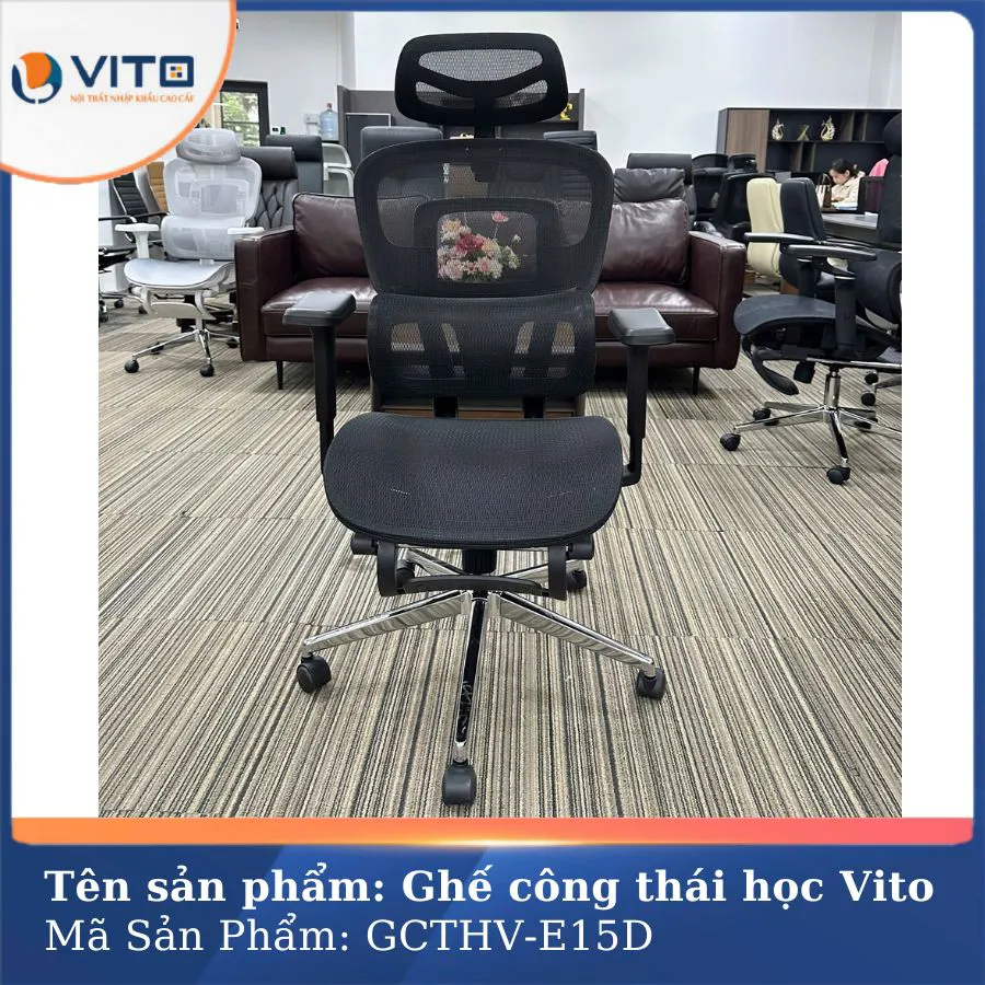 GHẾ CÔNG THÁI HỌC VITO GCTHV-E15D 4 Ghế công thái học Vito GCTHV-E15D - Ảnh 4