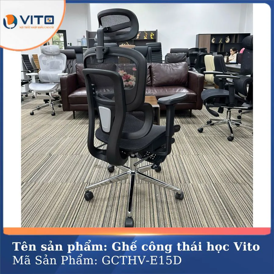 GHẾ CÔNG THÁI HỌC VITO GCTHV-E15D 5 Ghế công thái học Vito GCTHV-E15D - Ảnh 5