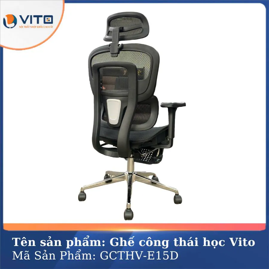 GHẾ CÔNG THÁI HỌC VITO GCTHV-E15D 2 Ghế công thái học Vito GCTHV-E15D - Ảnh 2