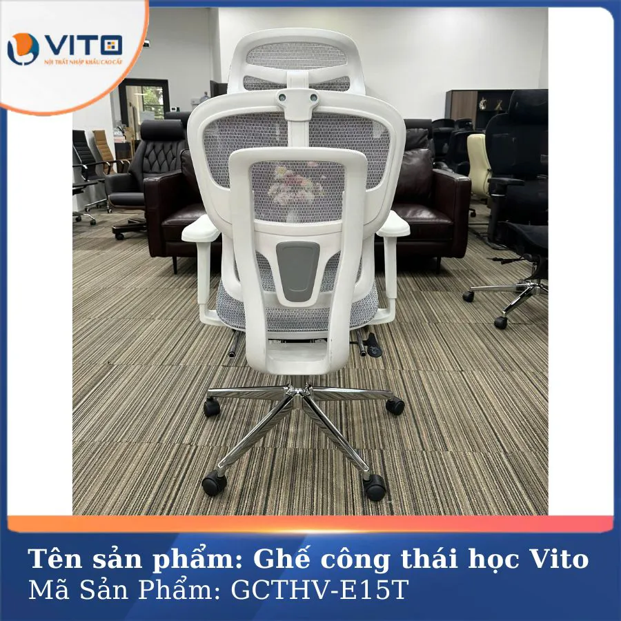 GHẾ CÔNG THÁI HỌC VITO GCTHV-E15T 5 Ghế công thái học Vito GCTHV-E15T - Ảnh 5