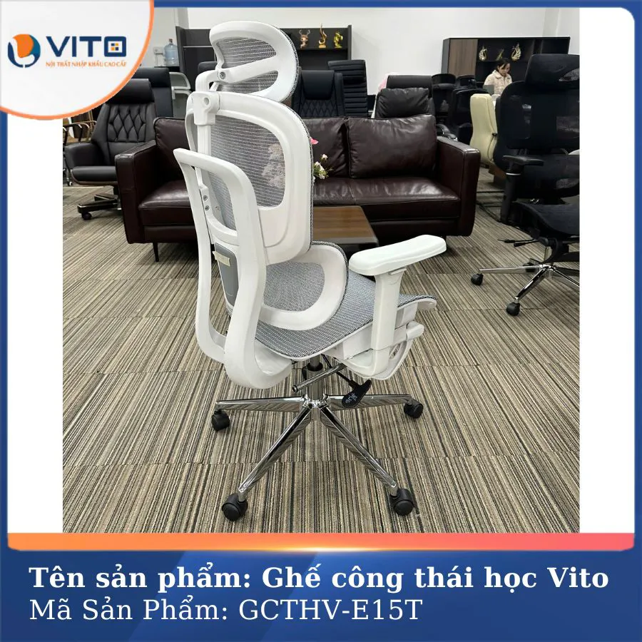 GHẾ CÔNG THÁI HỌC VITO GCTHV-E15T 4 Ghế công thái học Vito GCTHV-E15T - Ảnh 4