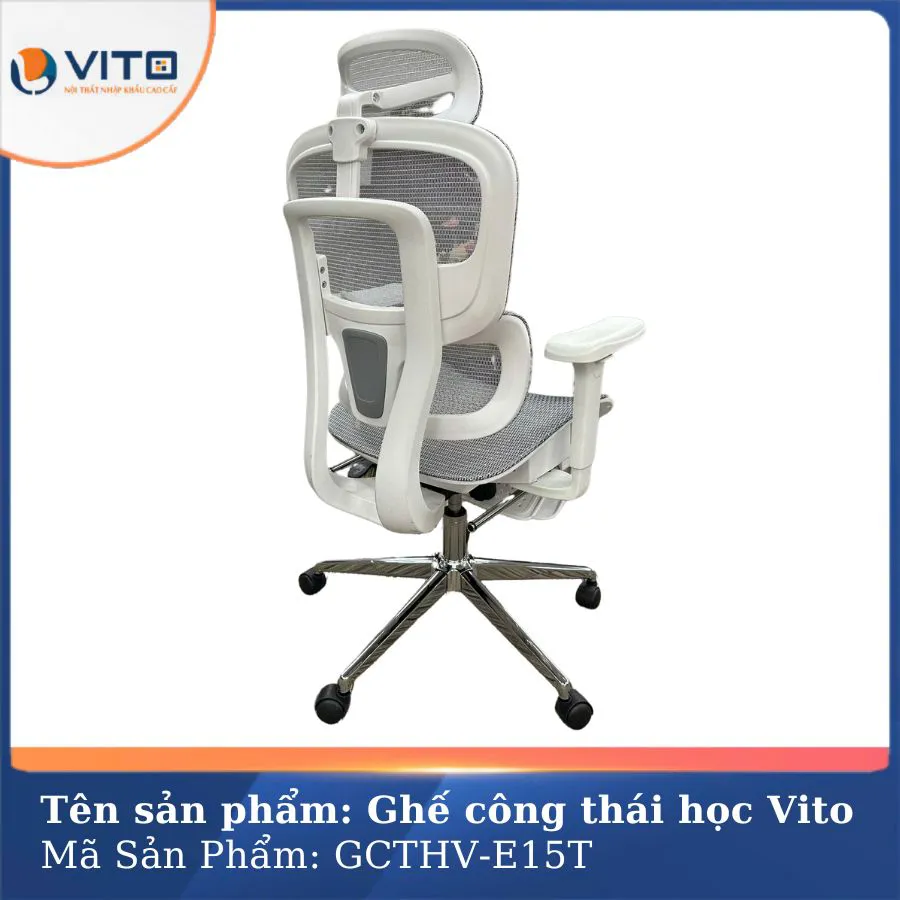 GHẾ CÔNG THÁI HỌC VITO GCTHV-E15T 3 Ghế công thái học Vito GCTHV-E15T - Ảnh 3