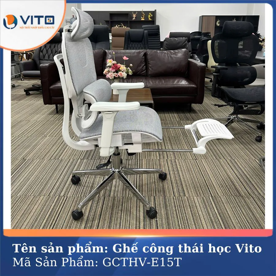 GHẾ CÔNG THÁI HỌC VITO GCTHV-E15T 6 Ghế công thái học Vito GCTHV-E15T - Ảnh 6