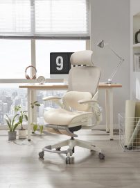 Mua ghế công thái học tại Đồng Tháp