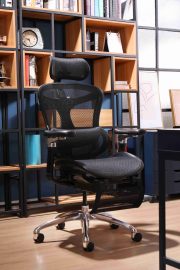 mua ghế công thái học tại Bắc Kạn