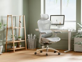 Mua Ghế CÔNG THÁI HỌC Ở TUYÊN QUANG