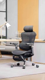 Mua Ghế Công Thái Học Tại TP.HCM