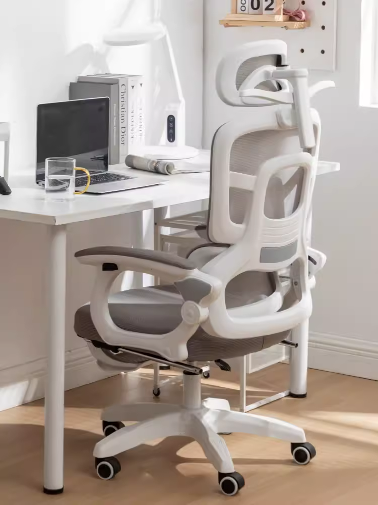 Mua ghế công thái học tại Bà Rịa – Vũng Tàu