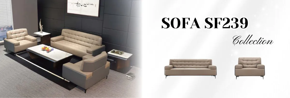 bo suu tap noi that 6