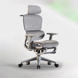 Mua Ghế Công Thái Học ở Cà Mau