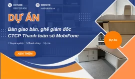 du an noi that vito ban giao 4